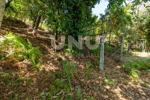 Ruinere i Arcos de Valdevez, Viana do Castelo, Arcos de Valdevez - € 35.000 | Ref: UNU.I.130.23362 - foto 11