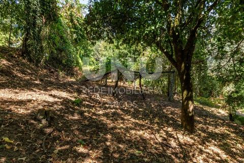 Ruinere i Arcos de Valdevez, Viana do Castelo, Arcos de Valdevez - € 35.000 | Ref: UNU.I.130.23362 - foto 12