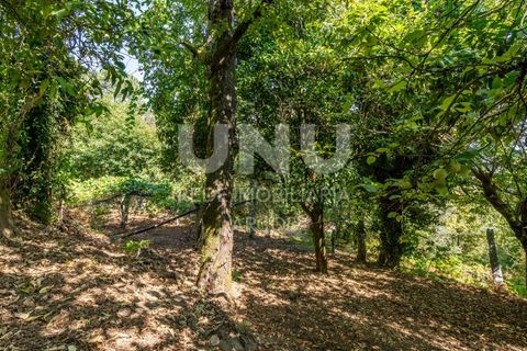 Ruinere i Arcos de Valdevez, Viana do Castelo, Arcos de Valdevez - € 35.000 | Ref: UNU.I.130.23362 - foto 13