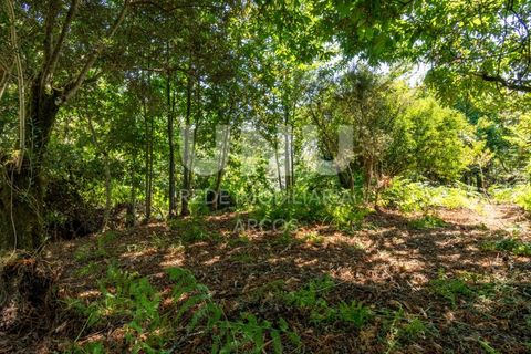 Ruinere i Arcos de Valdevez, Viana do Castelo, Arcos de Valdevez - € 35.000 | Ref: UNU.I.130.23362 - foto 16