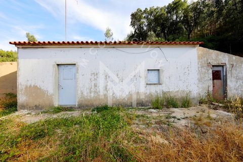 Helårsgrund i Monchique, Faro, Monchique - € 199.500 | Ref: SÒL_22 - foto 6