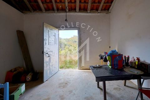Helårsgrund i Monchique, Faro, Monchique - € 199.500 | Ref: SÒL_22 - foto 18