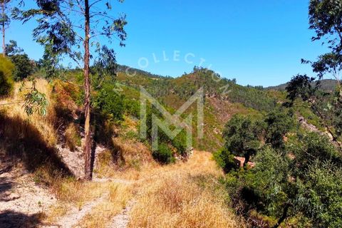 Helårsgrund i Monchique, Faro, Monchique - € 199.500 | Ref: SÒL_22 - foto 29
