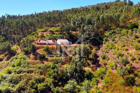 Helårsgrund i Monchique, Faro, Monchique - € 199.500 | Ref: SÒL_22 - foto 30