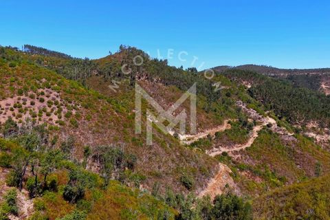Helårsgrund i Monchique, Faro, Monchique - € 199.500 | Ref: SÒL_22 - foto 31