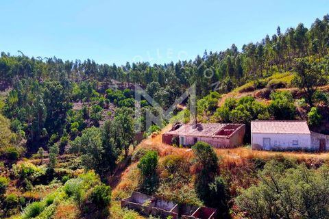 Helårsgrund i Monchique, Faro, Monchique - € 199.500 | Ref: SÒL_22 - foto 32