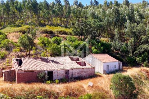 Helårsgrund i Monchique, Faro, Monchique - € 199.500 | Ref: SÒL_22 - foto 33