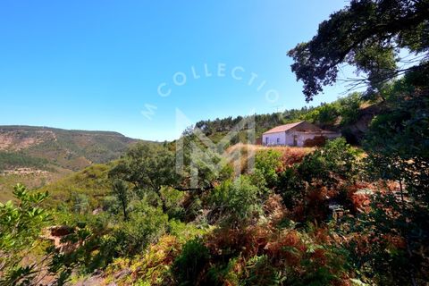 Helårsgrund i Monchique, Faro, Monchique - € 199.500 | Ref: SÒL_22 - foto 34