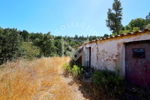 Helårsgrund i Monchique, Faro, Monchique - € 199.500 | Ref: SÒL_22 - foto 36