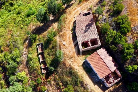 Helårsgrund i Monchique, Faro, Monchique - € 199.500 | Ref: SÒL_22 - foto 37