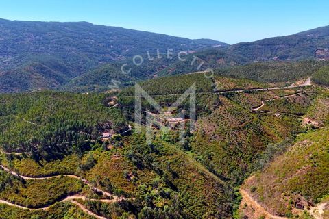 Helårsgrund i Monchique, Faro, Monchique - € 199.500 | Ref: SÒL_22 - foto 39