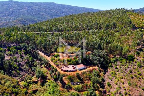 Helårsgrund i Monchique, Faro, Monchique - € 199.500 | Ref: SÒL_22 - foto 40