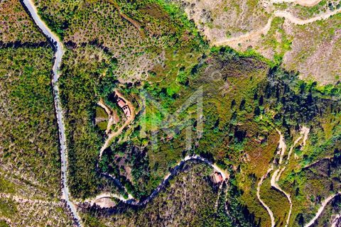 Helårsgrund i Monchique, Faro, Monchique - € 199.500 | Ref: SÒL_22 - foto 41
