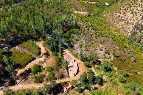 Helårsgrund i Monchique, Faro, Monchique - € 199.500 | Ref: SÒL_22 - foto 44