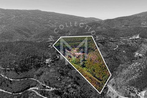 Helårsgrund i Monchique, Faro, Monchique - € 199.500 | Ref: SÒL_22 - foto 4