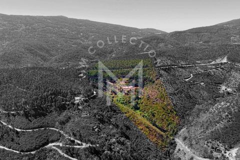 Helårsgrund i Monchique, Faro, Monchique - € 199.500 | Ref: SÒL_22 - foto 5