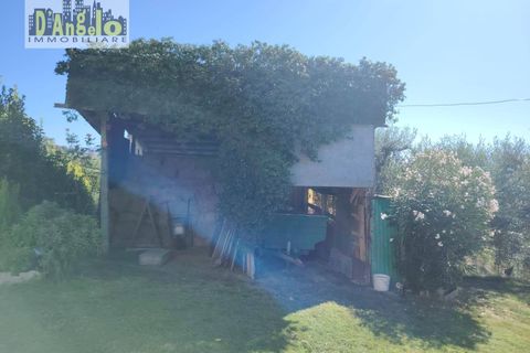 Landejendom i Offida, Ascoli Piceno, Offida - € 223.000 | Ref: 124 - foto 6