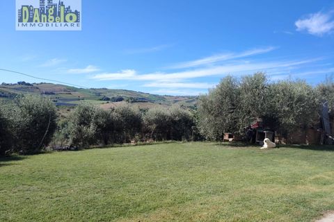 Landejendom i Offida, Ascoli Piceno, Offida - € 223.000 | Ref: 124 - foto 8