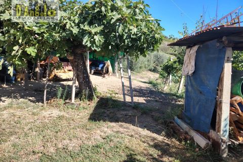 Landejendom i Offida, Ascoli Piceno, Offida - € 223.000 | Ref: 124 - foto 9