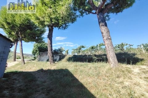 Landejendom i Offida, Ascoli Piceno, Offida - € 223.000 | Ref: 124 - foto 10