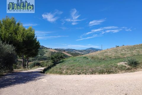 Landejendom i Offida, Ascoli Piceno, Offida - € 223.000 | Ref: 124 - foto 12
