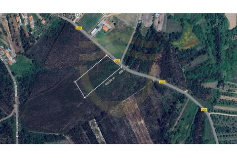 Terra a Soure, Coimbra, Soure - € 155.000 | Ref: TER_1185 - foto 4
