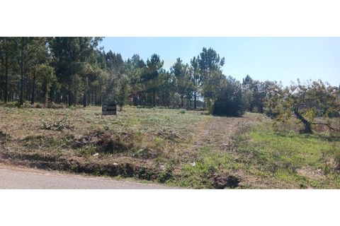 Terra a Soure, Coimbra, Soure - € 155.000 | Ref: TER_1185 - foto 2