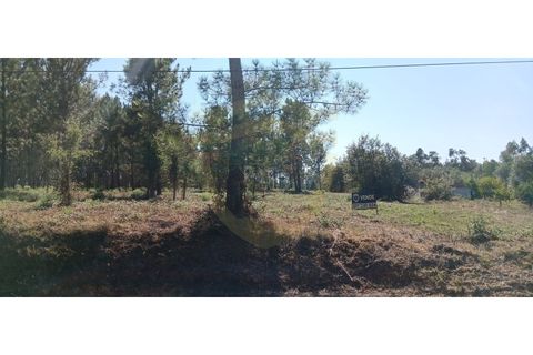 Terra a Soure, Coimbra, Soure - € 155.000 | Ref: TER_1185 - foto 3