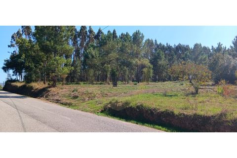 Terra a Soure, Coimbra, Soure - € 155.000 | Ref: TER_1185 - foto 5