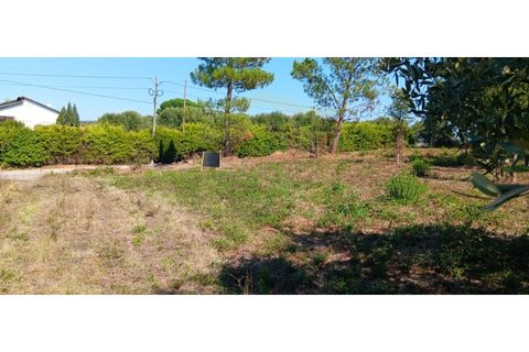 Terra a Soure, Coimbra, Soure - € 155.000 | Ref: TER_1185 - foto 6
