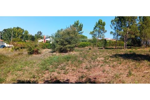 Terra a Soure, Coimbra, Soure - € 155.000 | Ref: TER_1185 - foto 9