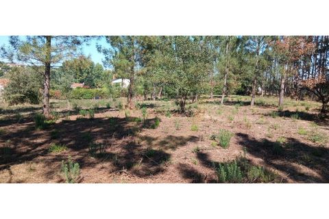 Terra a Soure, Coimbra, Soure - € 155.000 | Ref: TER_1185 - foto 10