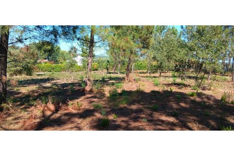 Terra a Soure, Coimbra, Soure - € 155.000 | Ref: TER_1185 - foto 12