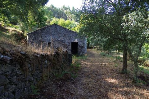Farm hus i Monchique, Faro, Monchique - € 350.000 | Ref: KWPT-021509 - foto 4