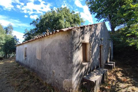 Farm hus i Monchique, Faro, Monchique - € 350.000 | Ref: KWPT-021509 - foto 1