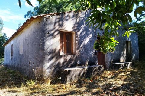 Farm hus i Monchique, Faro, Monchique - € 350.000 | Ref: KWPT-021509 - foto 5