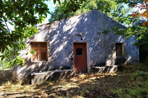 Farm hus i Monchique, Faro, Monchique - € 350.000 | Ref: KWPT-021509 - foto 6