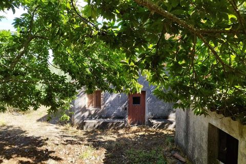 Farm hus i Monchique, Faro, Monchique - € 350.000 | Ref: KWPT-021509 - foto 7