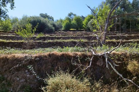 Farm hus i Monchique, Faro, Monchique - € 350.000 | Ref: KWPT-021509 - foto 9