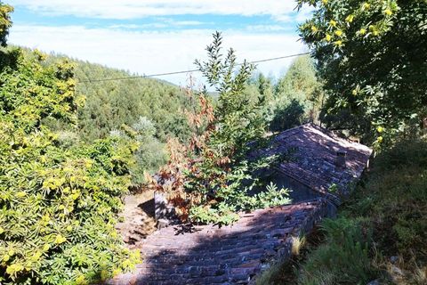 Farm hus i Monchique, Faro, Monchique - € 350.000 | Ref: KWPT-021509 - foto 10