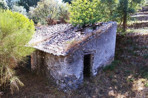 Farm hus i Monchique, Faro, Monchique - € 350.000 | Ref: KWPT-021509 - foto 11