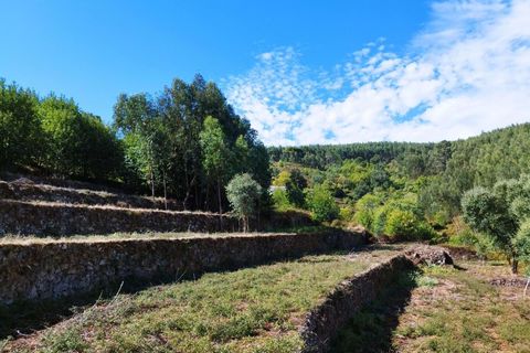 Farm hus i Monchique, Faro, Monchique - € 350.000 | Ref: KWPT-021509 - foto 13