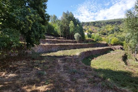 Farm hus i Monchique, Faro, Monchique - € 350.000 | Ref: KWPT-021509 - foto 14