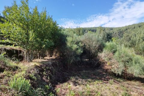 Farm hus i Monchique, Faro, Monchique - € 350.000 | Ref: KWPT-021509 - foto 16