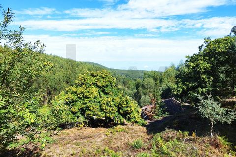 Farm hus i Monchique, Faro, Monchique - € 350.000 | Ref: KWPT-021509 - foto 17