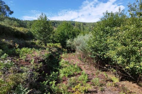 Farm hus i Monchique, Faro, Monchique - € 350.000 | Ref: KWPT-021509 - foto 18