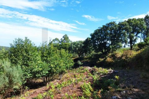 Farm hus i Monchique, Faro, Monchique - € 350.000 | Ref: KWPT-021509 - foto 19
