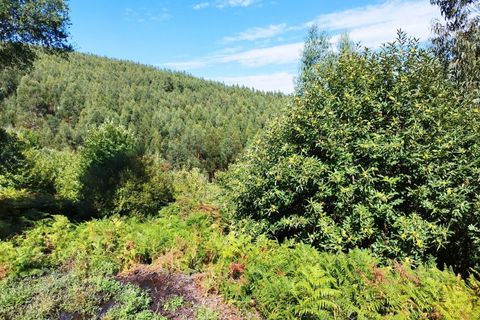 Farm hus i Monchique, Faro, Monchique - € 350.000 | Ref: KWPT-021509 - foto 21