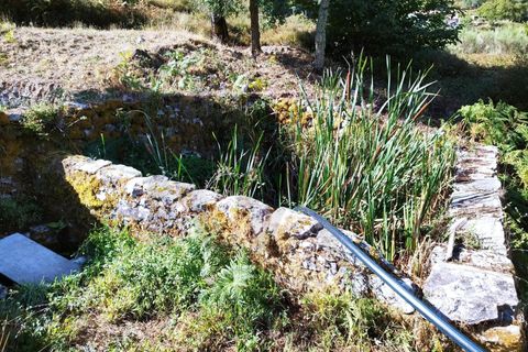 Farm hus i Monchique, Faro, Monchique - € 350.000 | Ref: KWPT-021509 - foto 22
