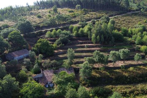 Farm hus i Monchique, Faro, Monchique - € 350.000 | Ref: KWPT-021509 - foto 23